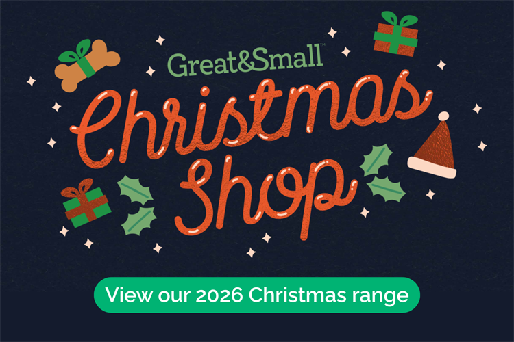 Shop our Christmas 2026 range!
